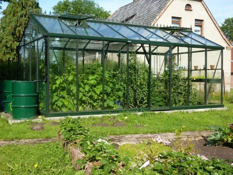 Grünes Gewächshaus voller Pflanzen im Garten, HOGATEK von Hof und Garten Wittstock.