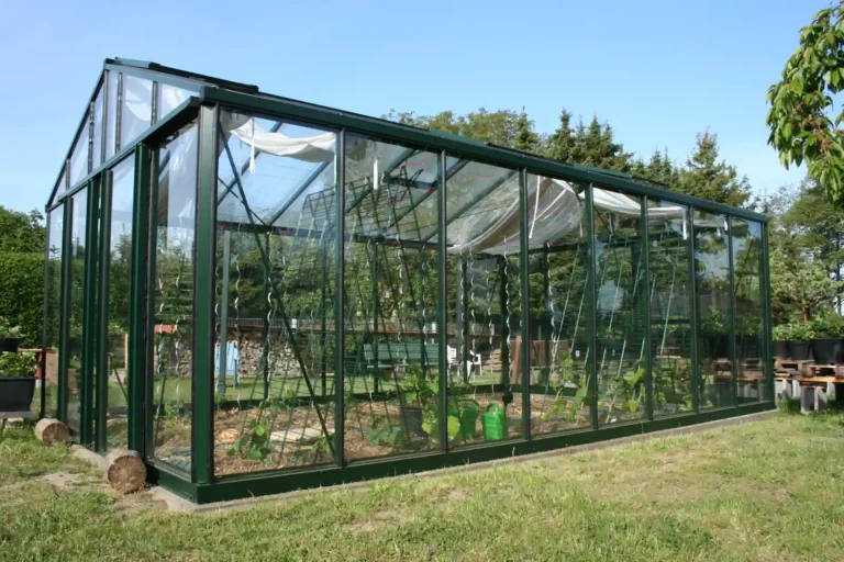 Großes Gewächshaus mit Pflanzen bei HOGATEK von Hof und Garten Wittstock.